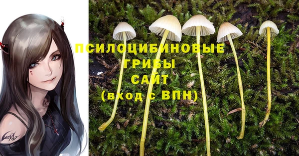 мдпв Иннополис
