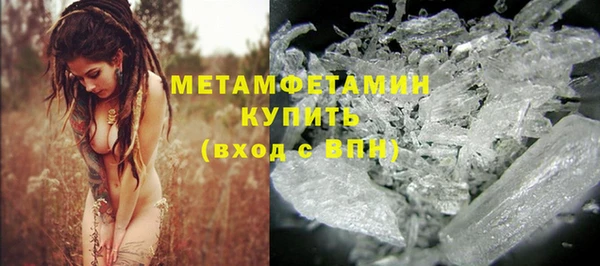 ГАЛЛЮЦИНОГЕННЫЕ ГРИБЫ Инта