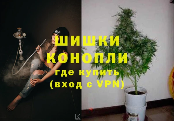 ГАЛЛЮЦИНОГЕННЫЕ ГРИБЫ Инта