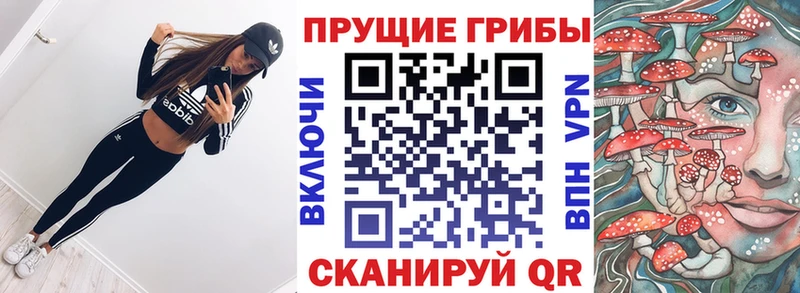 Купить где  Билибино  Галлюциногенные грибы MAGIC MUSHROOMS 